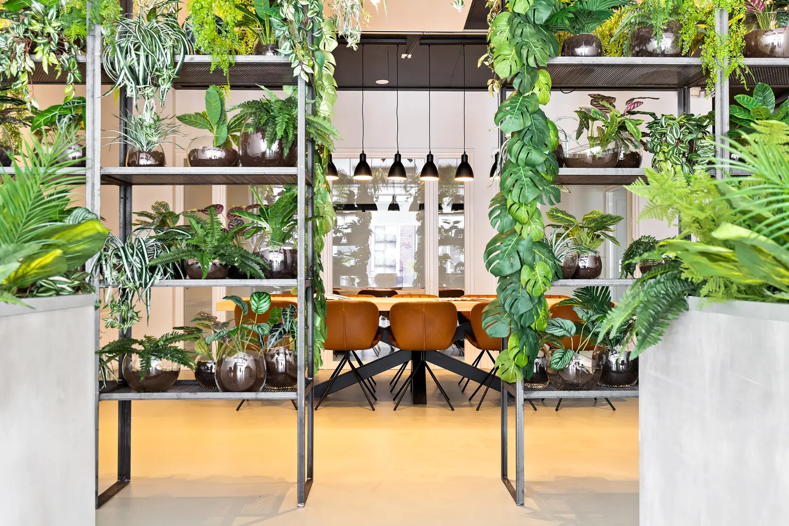 Het kantoor van ConnectYou in Groningen met planten en vergadertafel